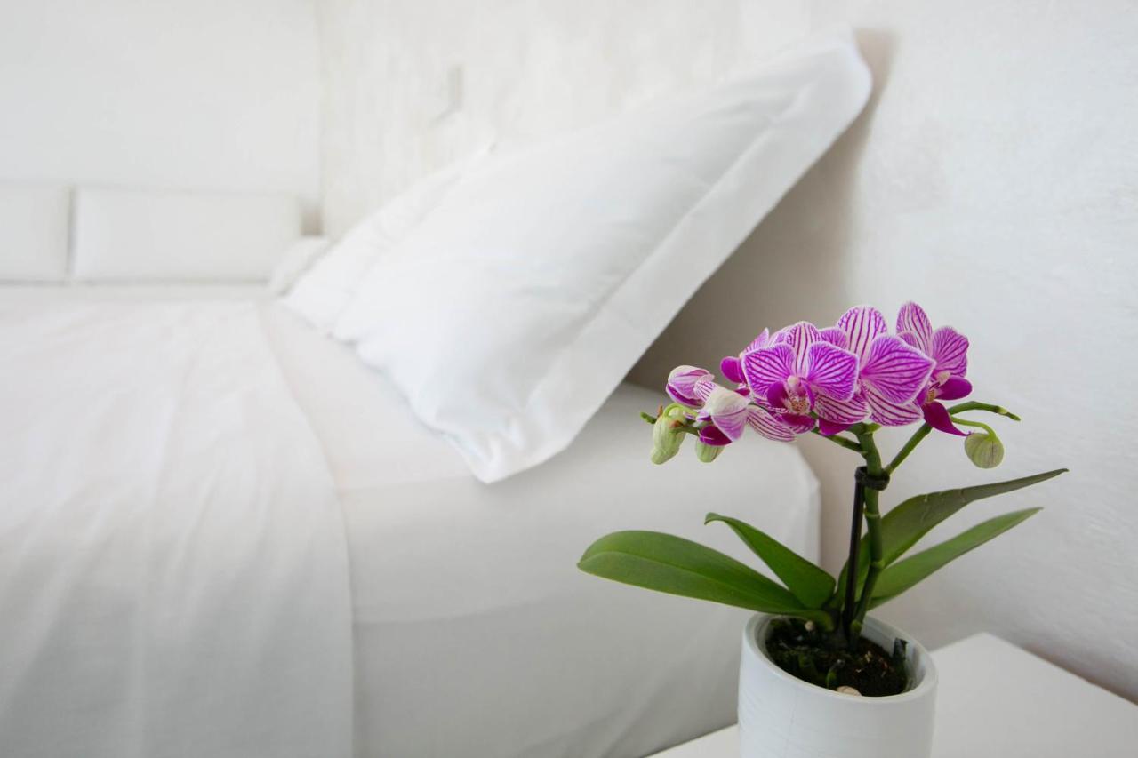 רימיני Hotel Nuovo Giardino מראה חיצוני תמונה